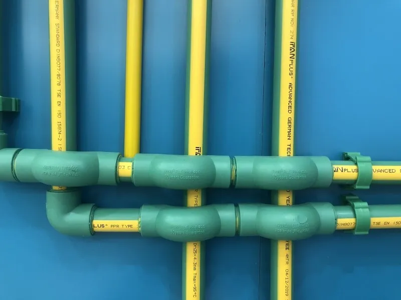 IFANPlus PPR IFANPlus PPR