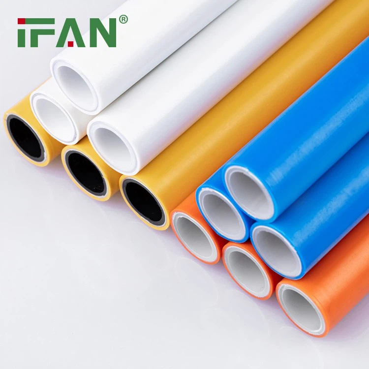 IFAN  (10)